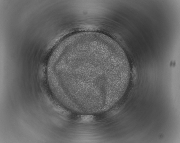 X0000110720355200907101409