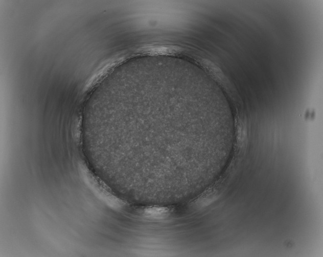 X0000110720357200907101409