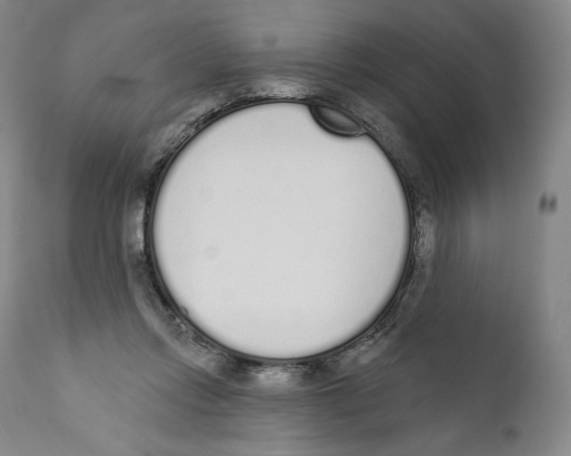 X0000110720358200907101409