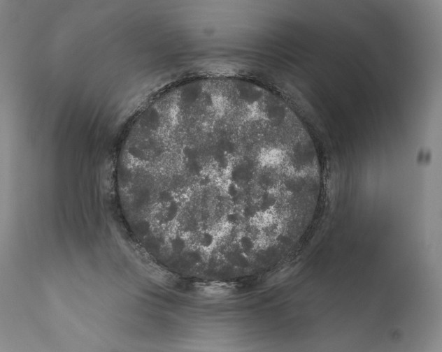 X0000110720359200907101409