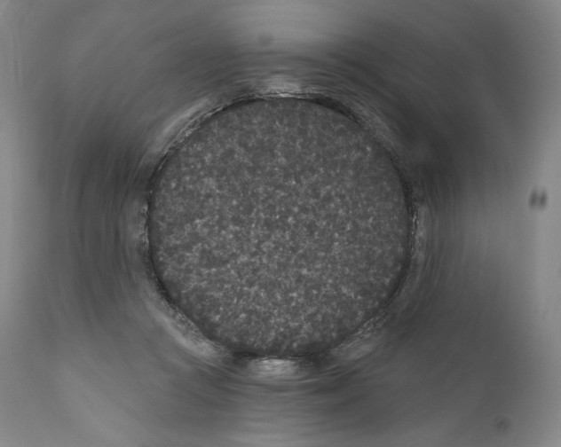 X0000110720361200907101409