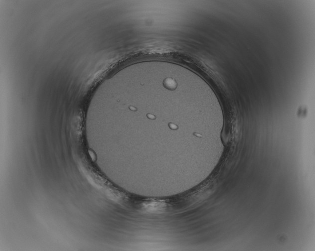 X0000110720362200907101409