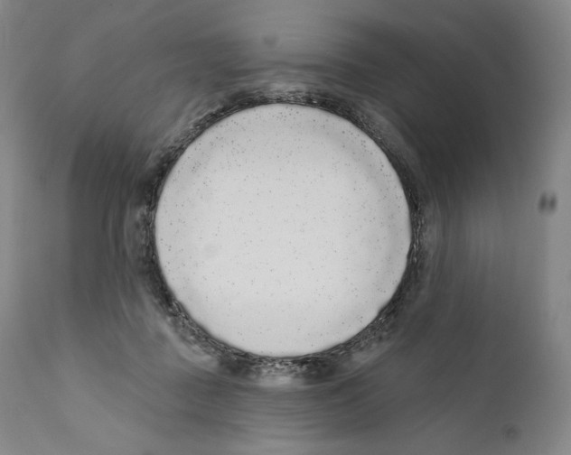 X0000110720363200907101409