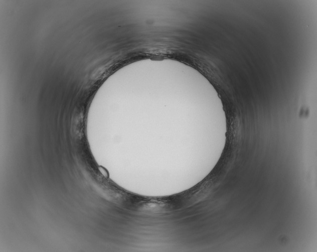 X0000110720364200907101409