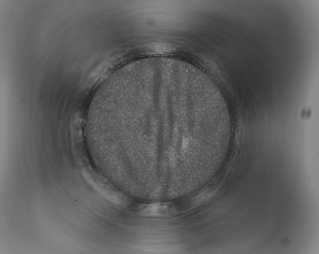 X0000110720366200907101409