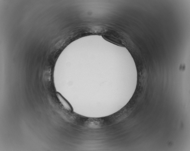 X0000110720368200907101409