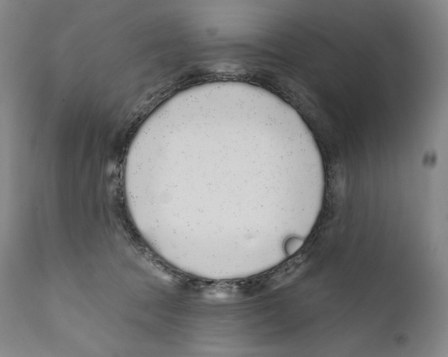 X0000110720369200907101409