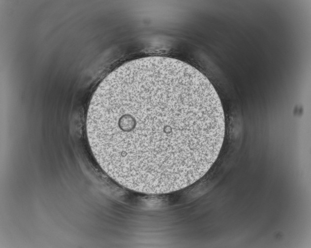 X0000110720370200907101409