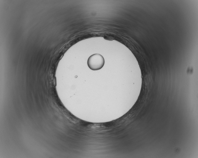 X0000110720372200907101409