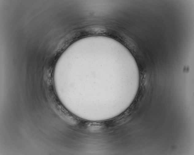 X0000110720373200907101409