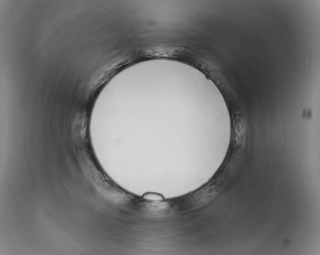 X0000110720374200907101409