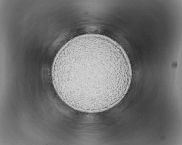 X0000110720375200907101409