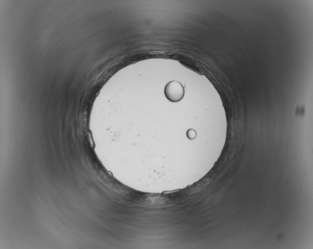 X0000110720376200907101409