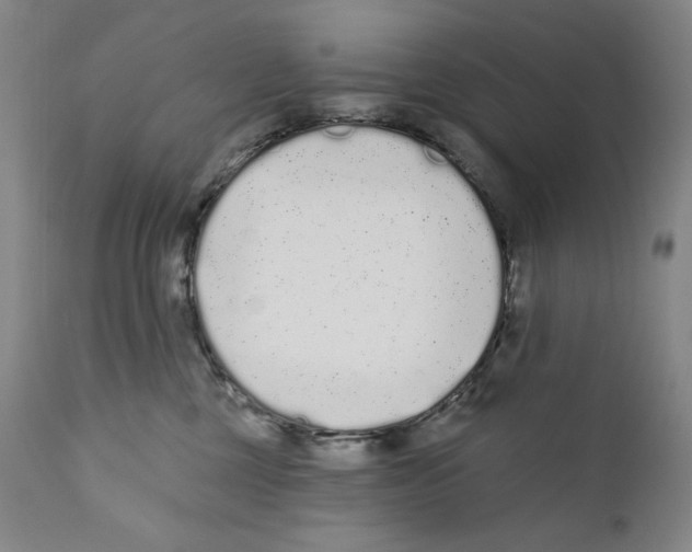 X0000110720377200907101409