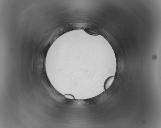 X0000110720379200907101410