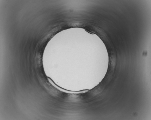 X0000110720380200907101410