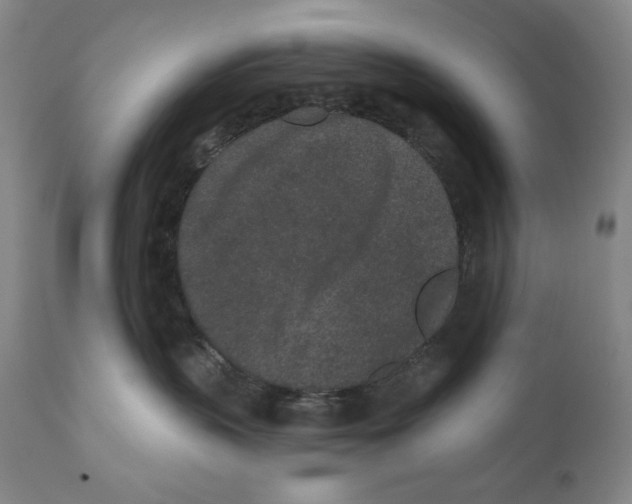 X0000110720383200907101410