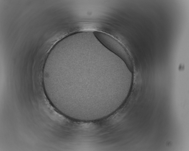 X0000110720385200907101409