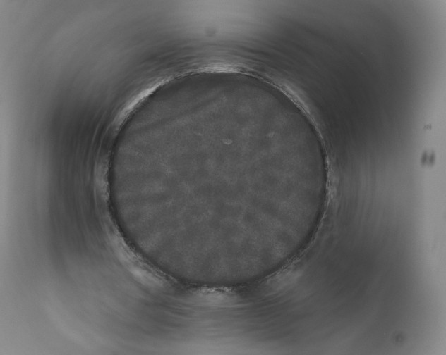 X0000110720386200907101409