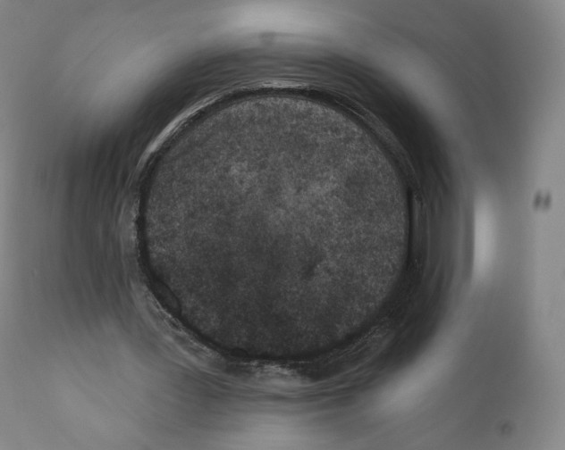 X0000110720387200907101409