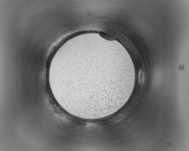 X0000110720388200907101409