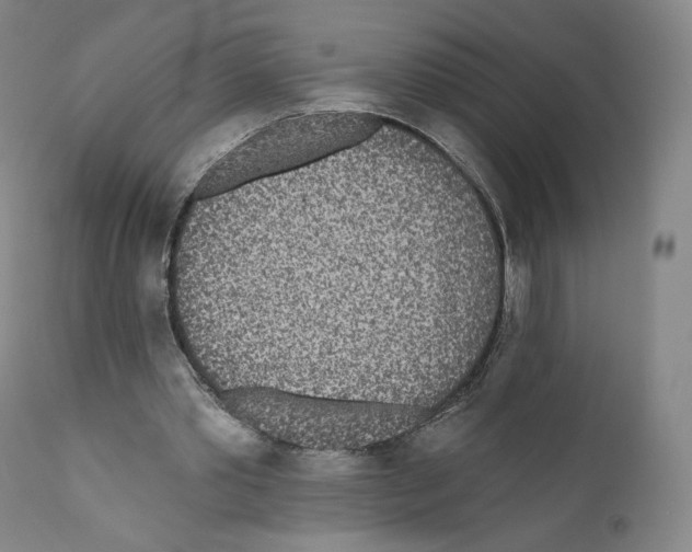 X0000110720389200907101409