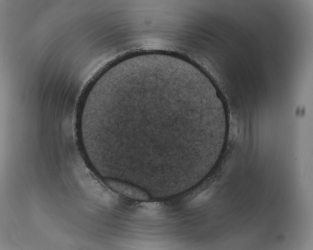 X0000110720391200907101409