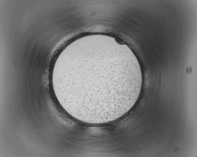 X0000110720392200907101409