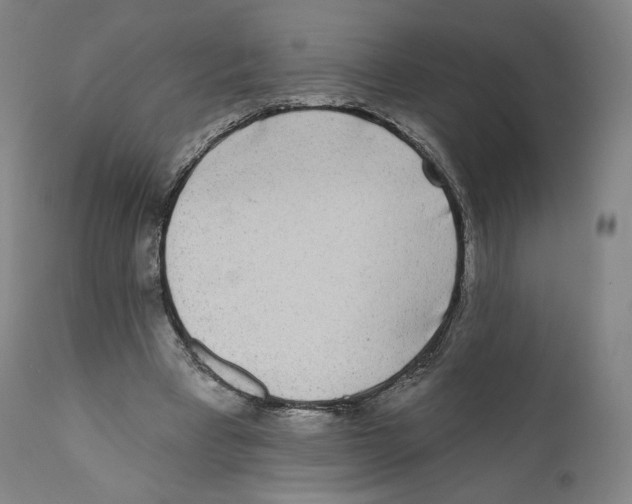 X0000110720393200907101409