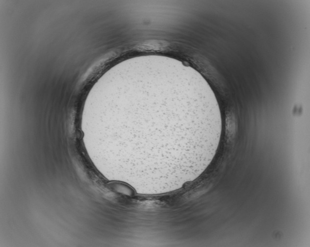 X0000110720396200907101409