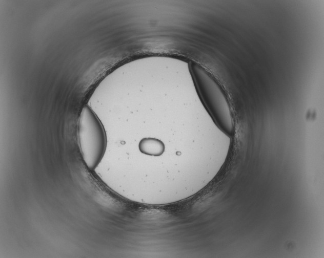 X0000110720397200907101409