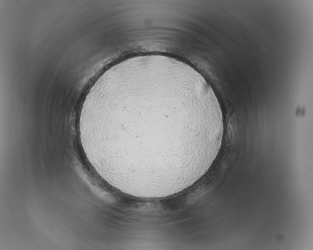 X0000110720398200907101409