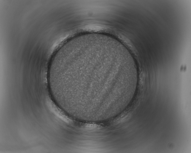 X0000110720399200907101409