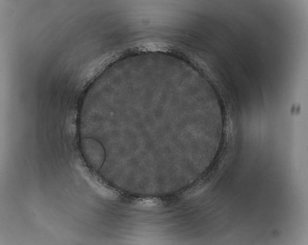 X0000110720402200907101409