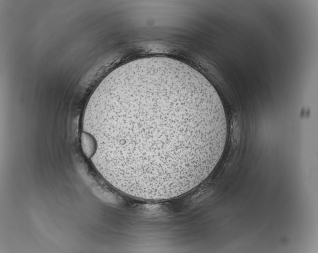 X0000110720406200907101409