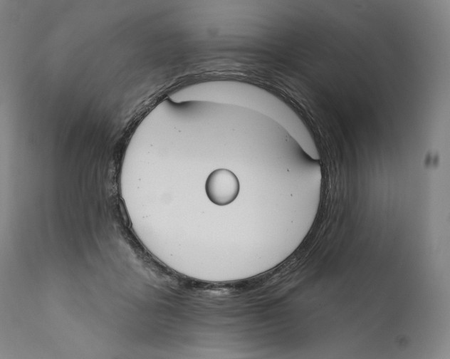 X0000110720411200907101409