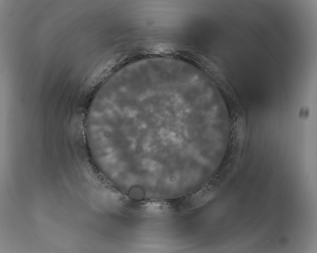 X0000110720415200907101408