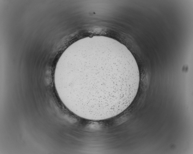 X0000110720416200907101408