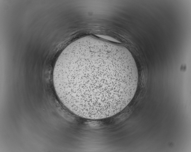 X0000110720417200907101408