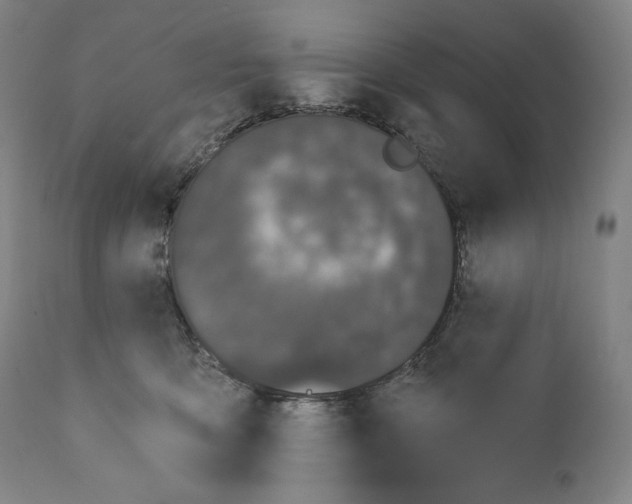 X0000110720419200907101408