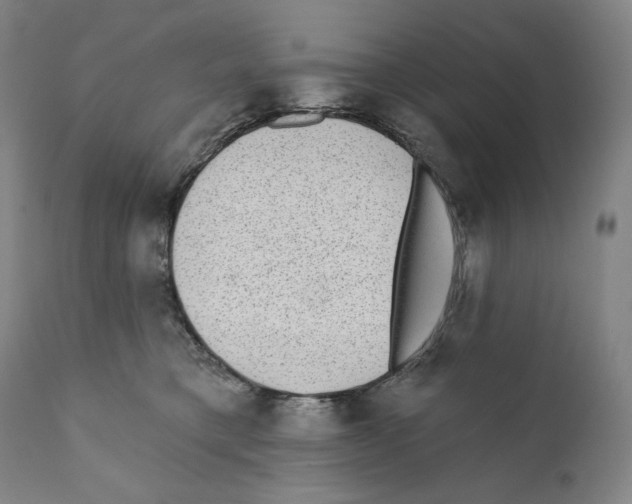 X0000110720421200907101408