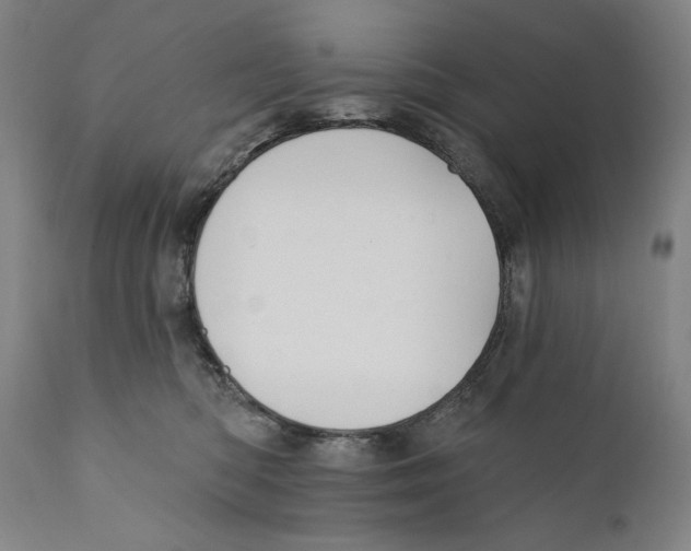 X0000110720422200907101408