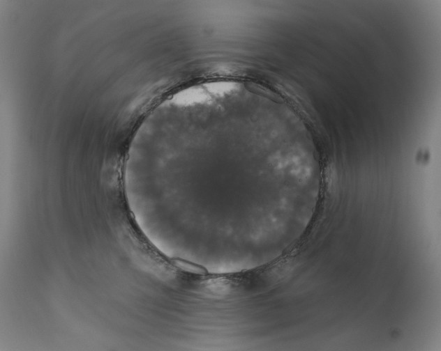 X0000110720423200907101408