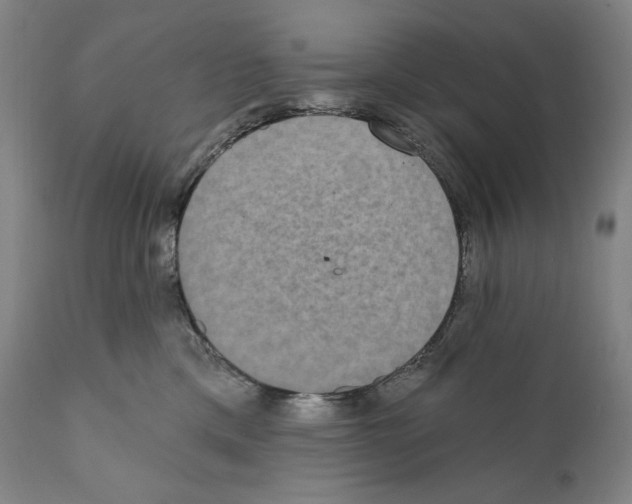 X0000110720425200907101408