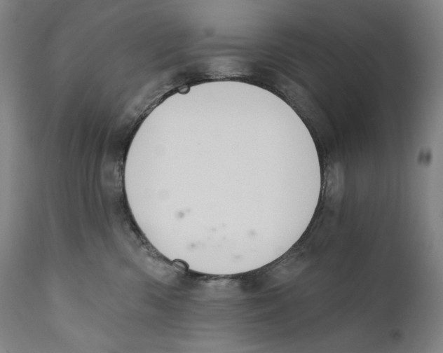 X0000110720426200907101408