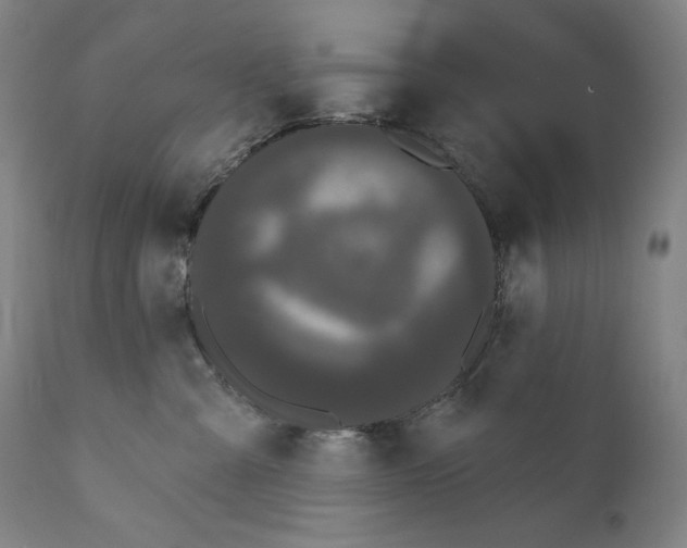 X0000110720427200907101408