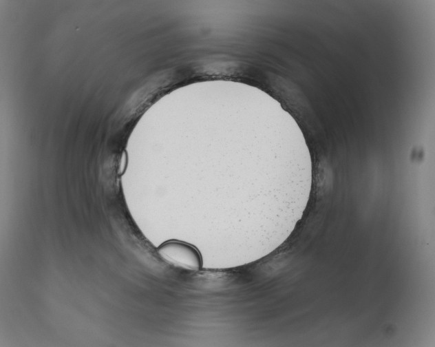 X0000110720428200907101408