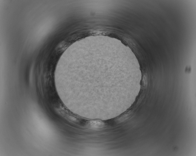 X0000110720429200907101408