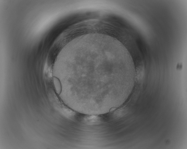 X0000110720431200907101408