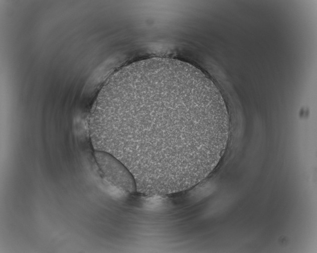 X0000110720432200907101408